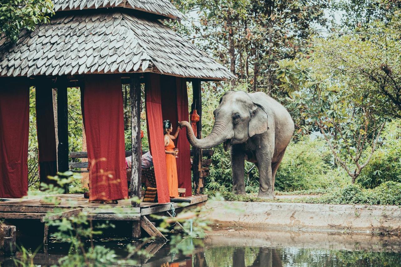 Chai Lai Orchid Chiang Mai Exterior photo